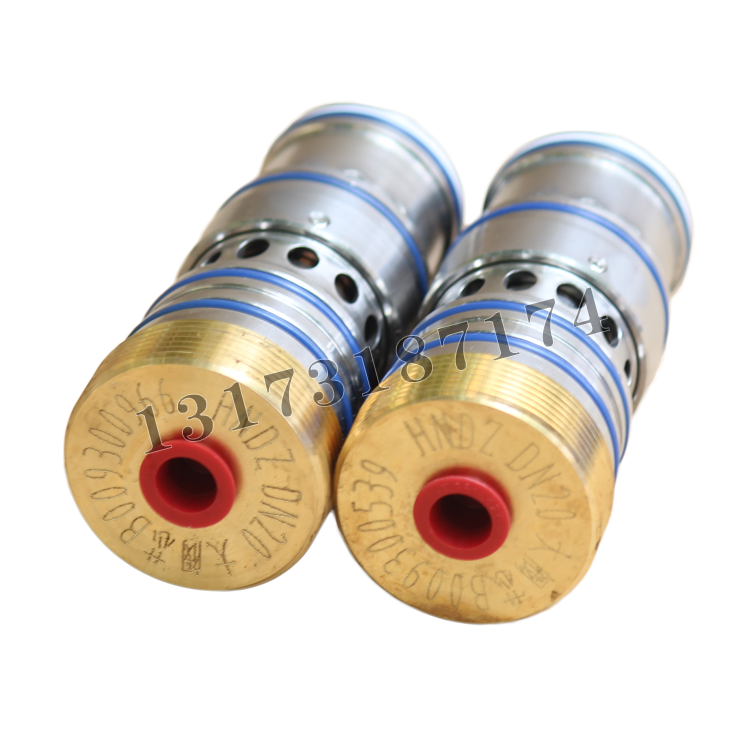 FXH20.D.00閥芯組件DN20大閥芯|天津華寧電子有限公司