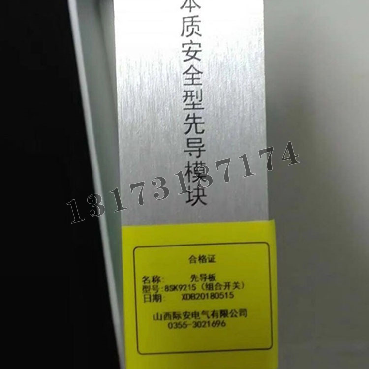 先導板8SK9215本質(zhì)安全型先導模塊（組合開關(guān)）|山西際安電氣有限公司