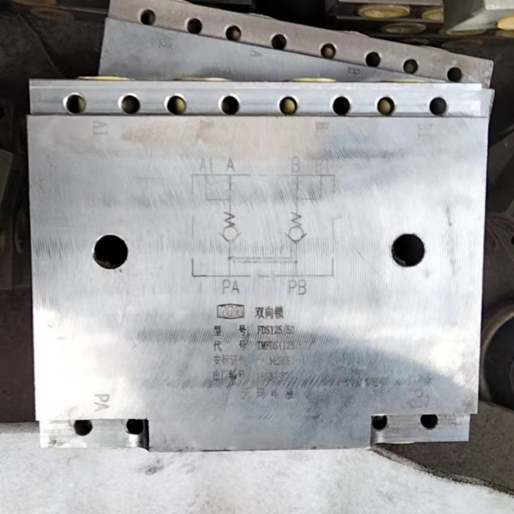 北京天瑪電液FDS125/50J交替雙向鎖