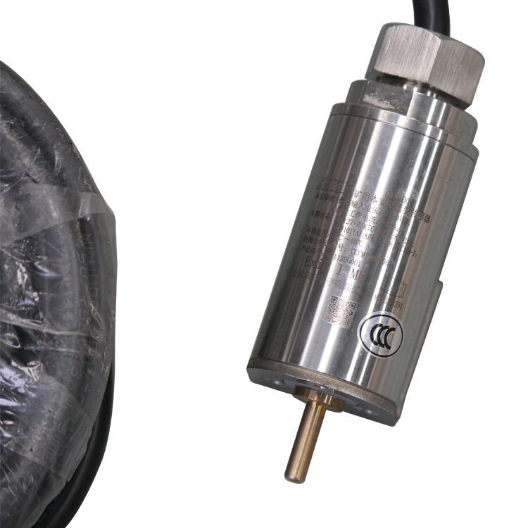 GWD100礦用本安型溫度傳感器-安徽恒泰電氣科技股份有限公司